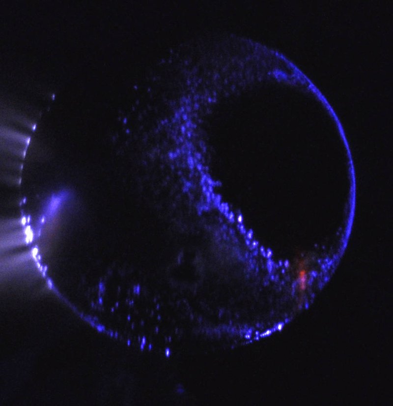 Illustration for article titled This Is What The Aurorae Look Like On Mars